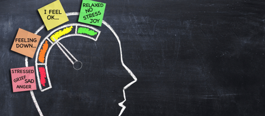 5 Avoidable Risks To Brain Health