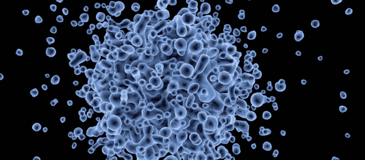 Five Ways To Support Cellular Health