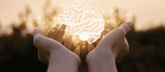 5 Steps To Creating a Healthier Brain