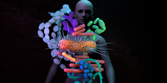 The Gut Microbiome: A Promising Screening Tool for Alzheimer’s Risk