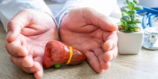How Your Liver Influences Your Brain Wellbeing