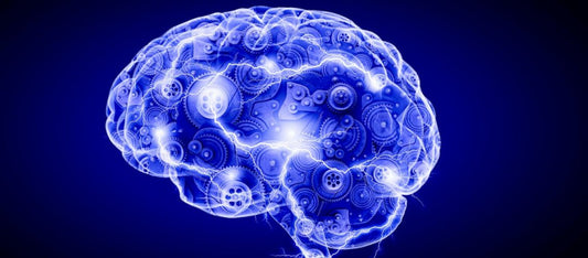How To Improve Your Memory