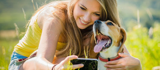 What Is Acetylcholine and Why Is It Important?