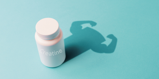 The Debate About China-Sourced vs. German-Sourced Creatine