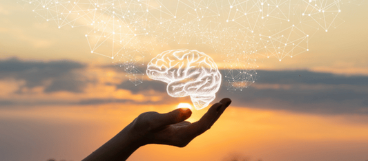 The Gut-Brain Connection Explained