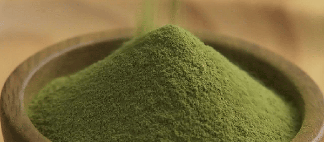 Why You Should Consider A Greens Formula In Your Daily Routine