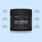 GUT REPAIR™ thumbnail