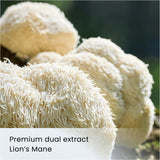 ORGANIC LION'S MANE thumbnail